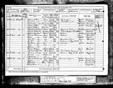 UK Cens 1881 - RG11-4675 - F 90 P 8 S 44 (Rotherham-Kimberworth)