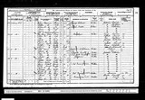 UK Cens 1901 - RG13-4391 - F 83 P 23 S 137 (Rotherham-S E Rotherham)