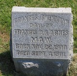 MMI - I19036 - Frances Gwendolyn Maw